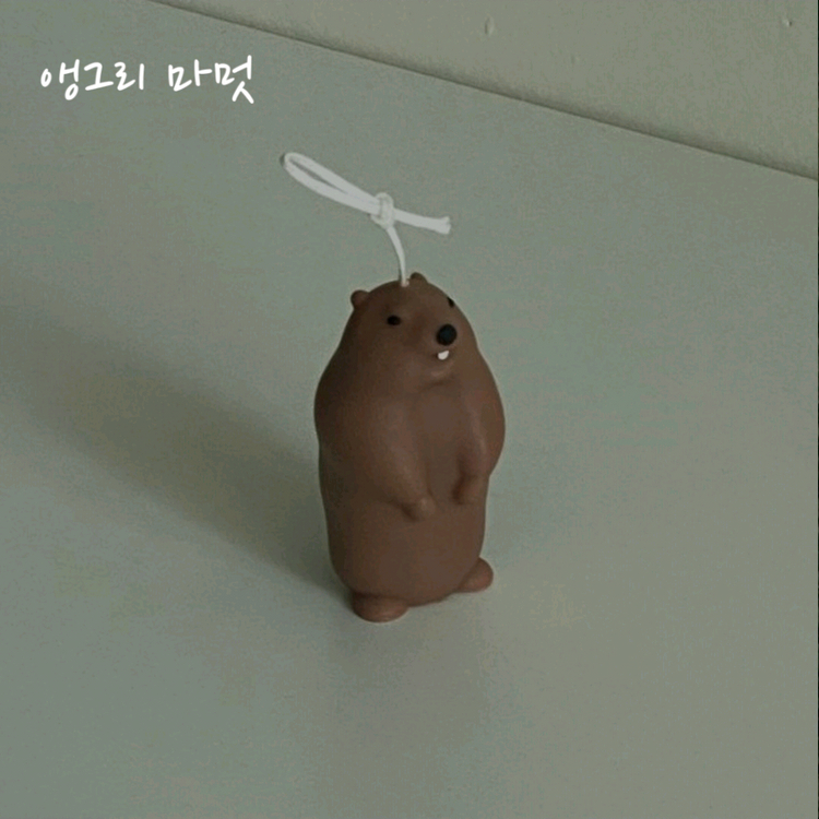 미사용) 오드로우 캔들 몰드 판매 이미지