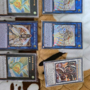 유희왕 카드 일괄 이미지