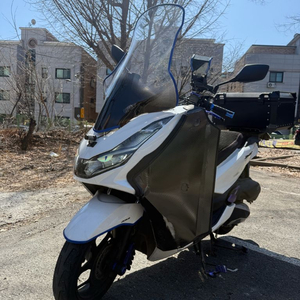 혼다 pcx125 24년식 이미지