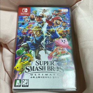 닌텐도 스위치 슈퍼스매시 브라더스 대난투 이미지