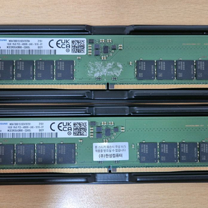 삼성 DDR5 32GB ( 16GB x2) 램 이미지