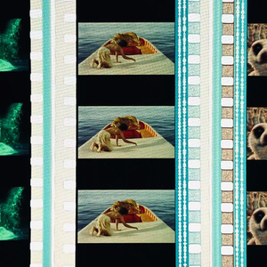 라이프 오브 파이 필름컷 6매 / 영화 필름 판매 이미지