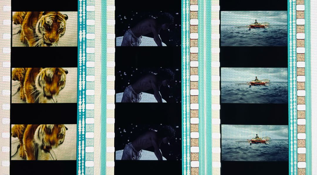 라이프 오브 파이 필름컷 6매 / 영화 필름 판매 이미지