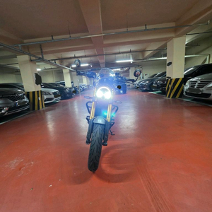 2025년식 트라이엄프 스피드400 레드 색상 팝니다 이미지