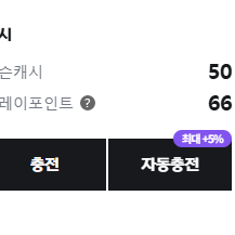 충전되어있는 넥슨 캐시, 플레이포인트 삽니다 이미지