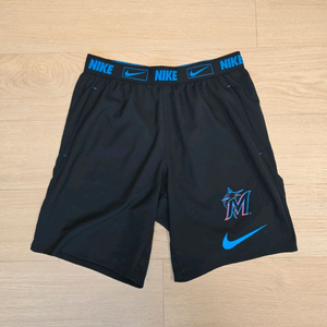 나이키 어센틱 드라이핏 마이애미 마린스 반바지 M(31~33) 이미지