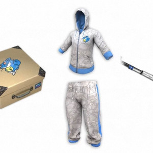 배그 XXD 후드 세트 스킨 코드 이미지