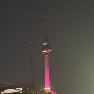 (선지급) 구글 콘텐츠 컨텐츠 정보 이용 67프로 구합니다 이미지