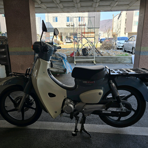 혼다커브110cc 이미지