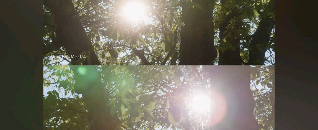 티펜 블랙미스트 1/4 67mm 이미지