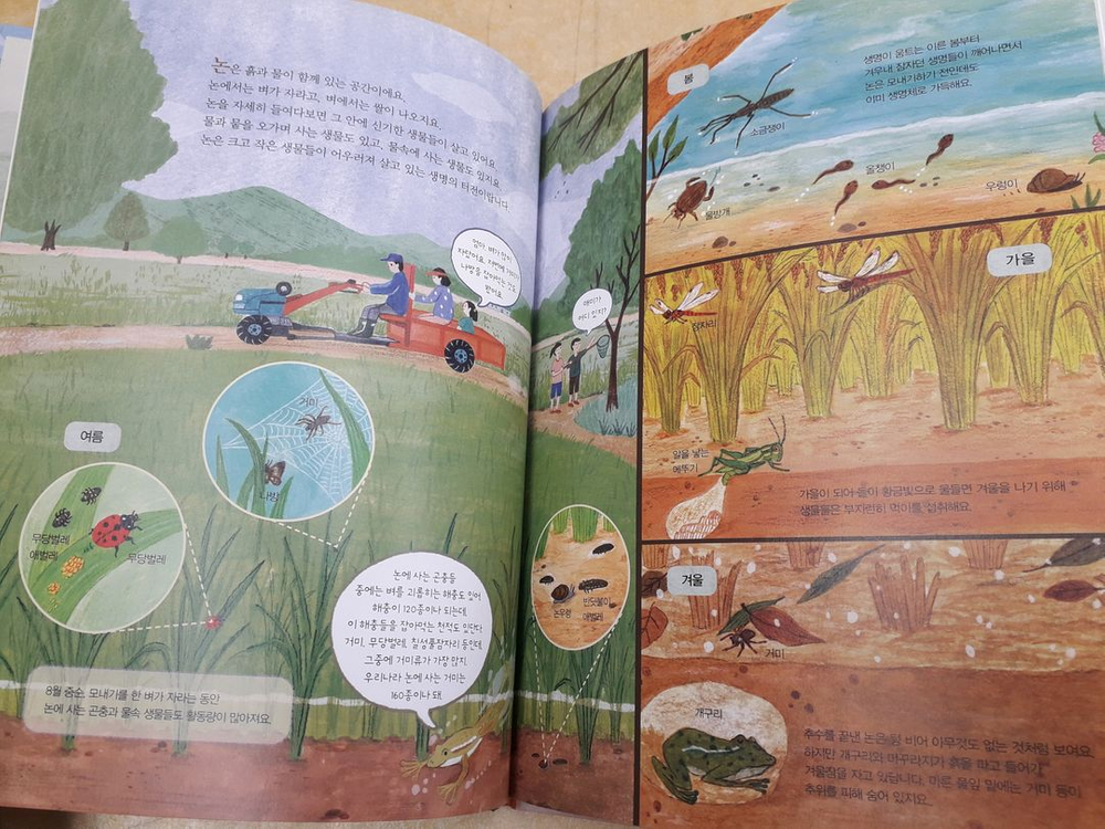 시공주니어 네버랜드 자연학교 총 7권 이미지