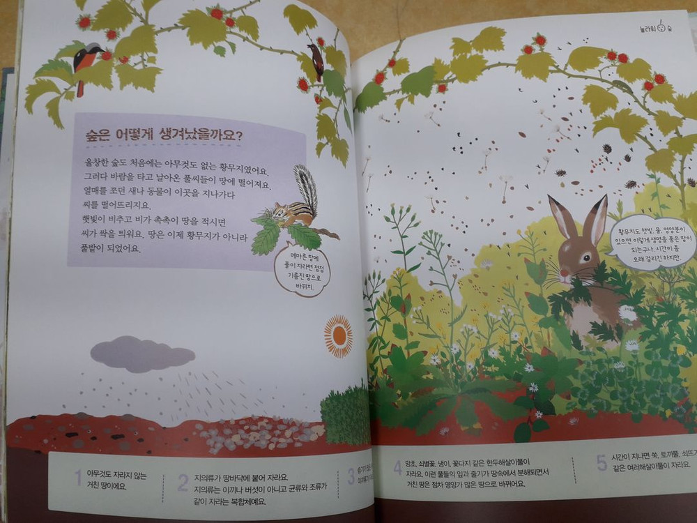 시공주니어 네버랜드 자연학교 총 7권 이미지