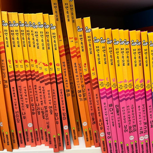 여원키즈탄탄 자연속으로 자연관찰 전집 100권 전권 이미지