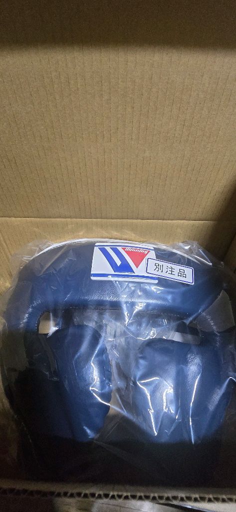 위닝글러브 .헤드기어 .낭보 셋 커스텀 새거 이미지