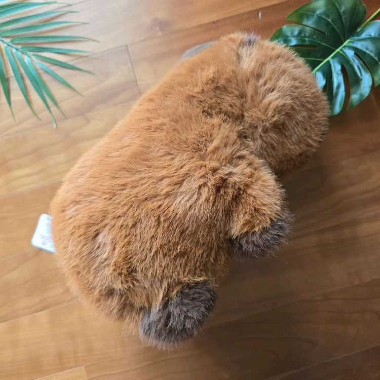 (새상품) 카피바라 머리묶기 봉제인형 이미지