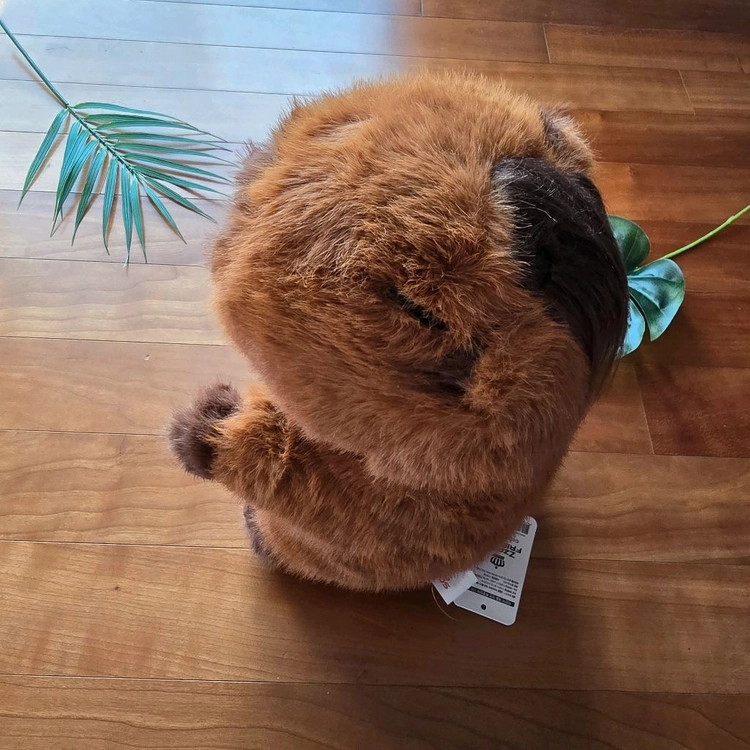 (새상품) 카피바라 머리묶기 봉제인형 이미지