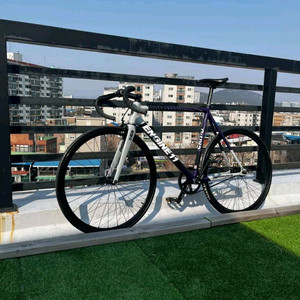 엔진11 애그플래트 픽시 자전거 이미지