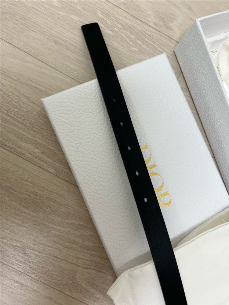 디올 새들 벨트 70 이미지