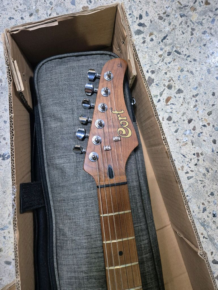 콜트 G250SE 일렉기타 판매 이미지