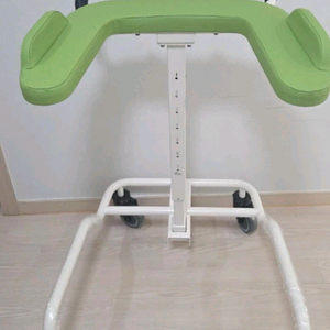 성인용 보행기 이미지