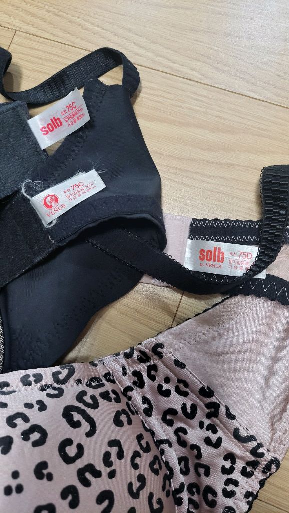 비너스 와코루 솔브브라 75D 75c 세트 이미지