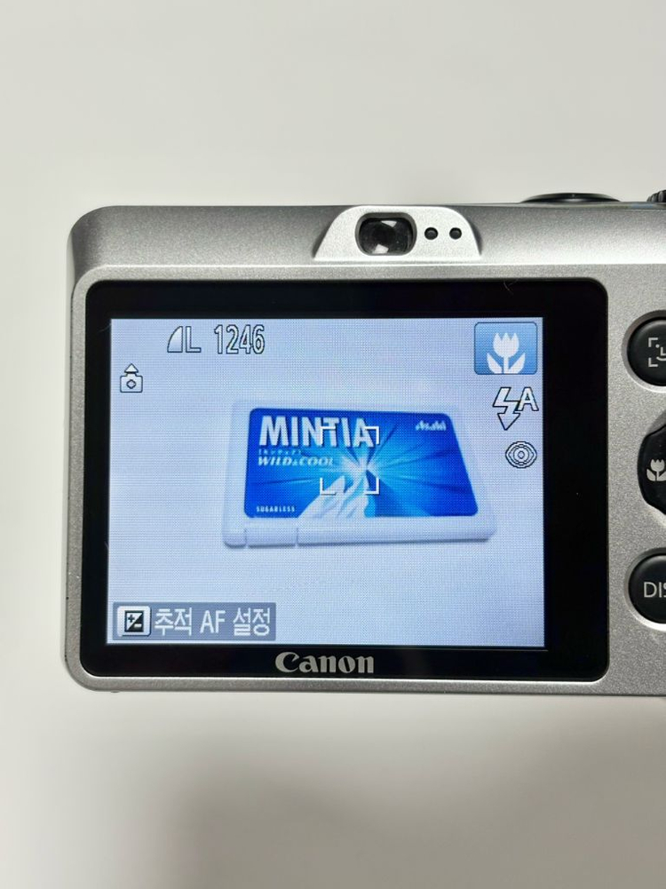 제니 디카! / 캐논 파워샷 A1200 / 빈티지카메라 이미지