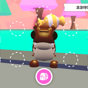 입양하세요 코코아다일 이미지