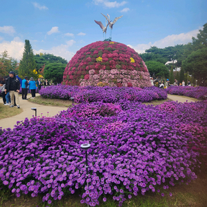 cgv 월 ~목 2d 영화 2인 예매 이미지