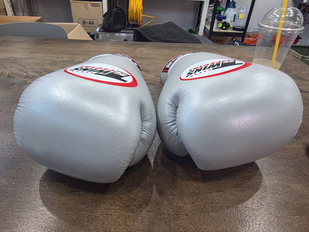 트윈스 복싱글러브 12온스 실버 이미지