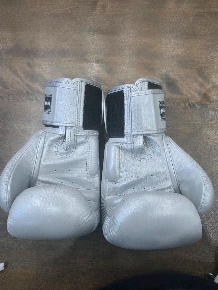 트윈스 복싱글러브 12온스 실버 이미지