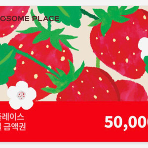 투썸플레이스 5만원권 모바일 금액권 판매합니다. 이미지