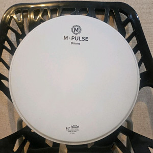 레모(REMO) 스네어드럼 전용 헤드 이미지