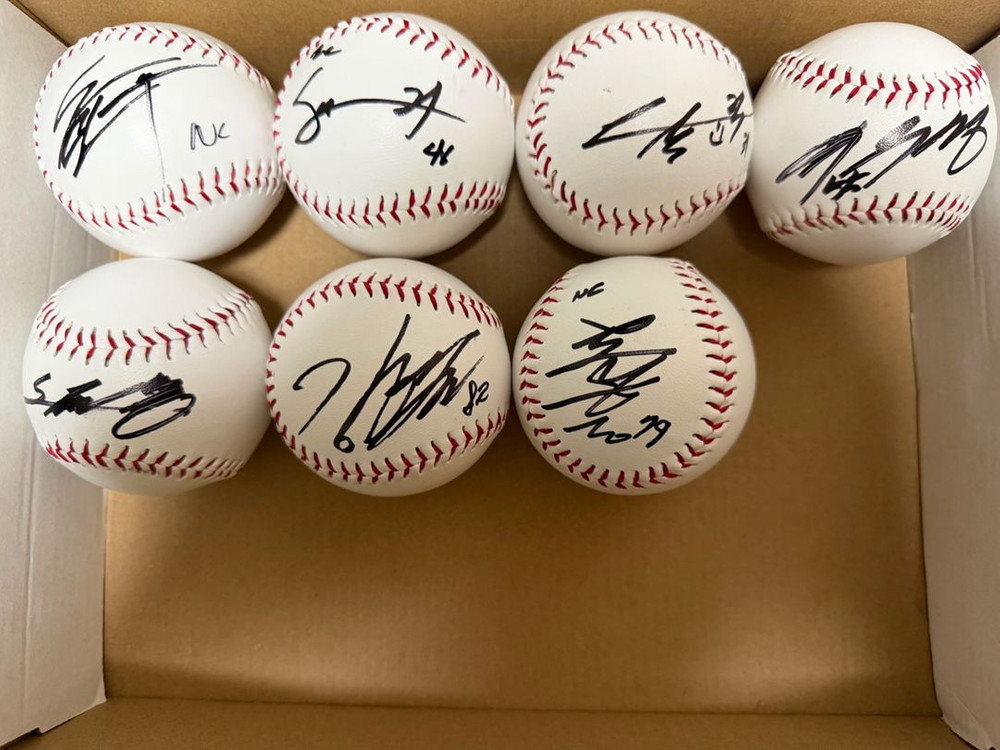 엔씨다이노스 친필 싸인볼 nc다이노스 이미지