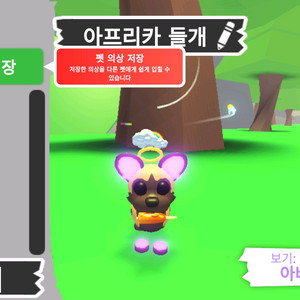 입양하세요 펫 메가 네온 아프리카 들개(메앞들)판매합니다 이미지