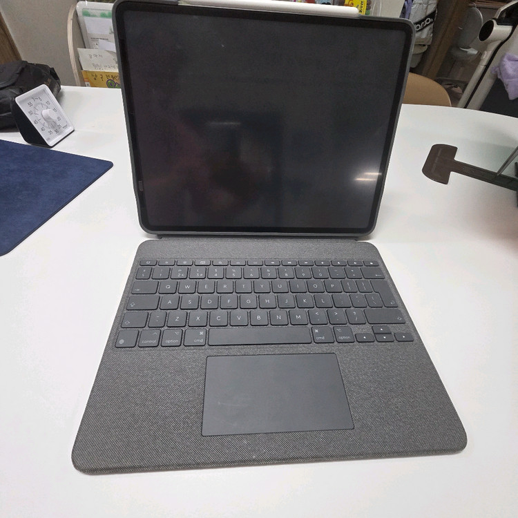 아이패드 프로 5세대 12.9세대 2테라 셀룰러 이미지