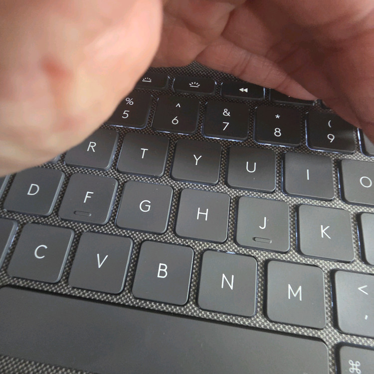 아이패드 프로 5세대 12.9세대 2테라 셀룰러 이미지