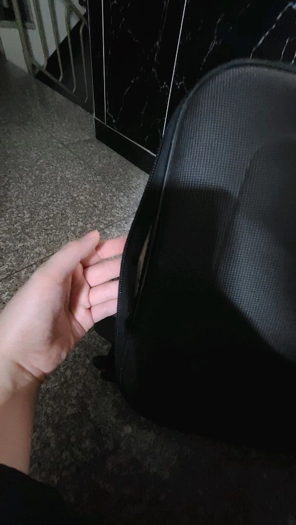 아놀드바시니 캐리어 이미지