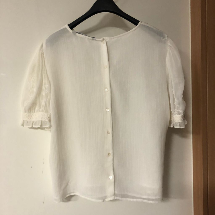 ZARA 자라 마랑맛 레이스 시스루 아일렛 벌룬 반팔 블라우스 자수 이미지