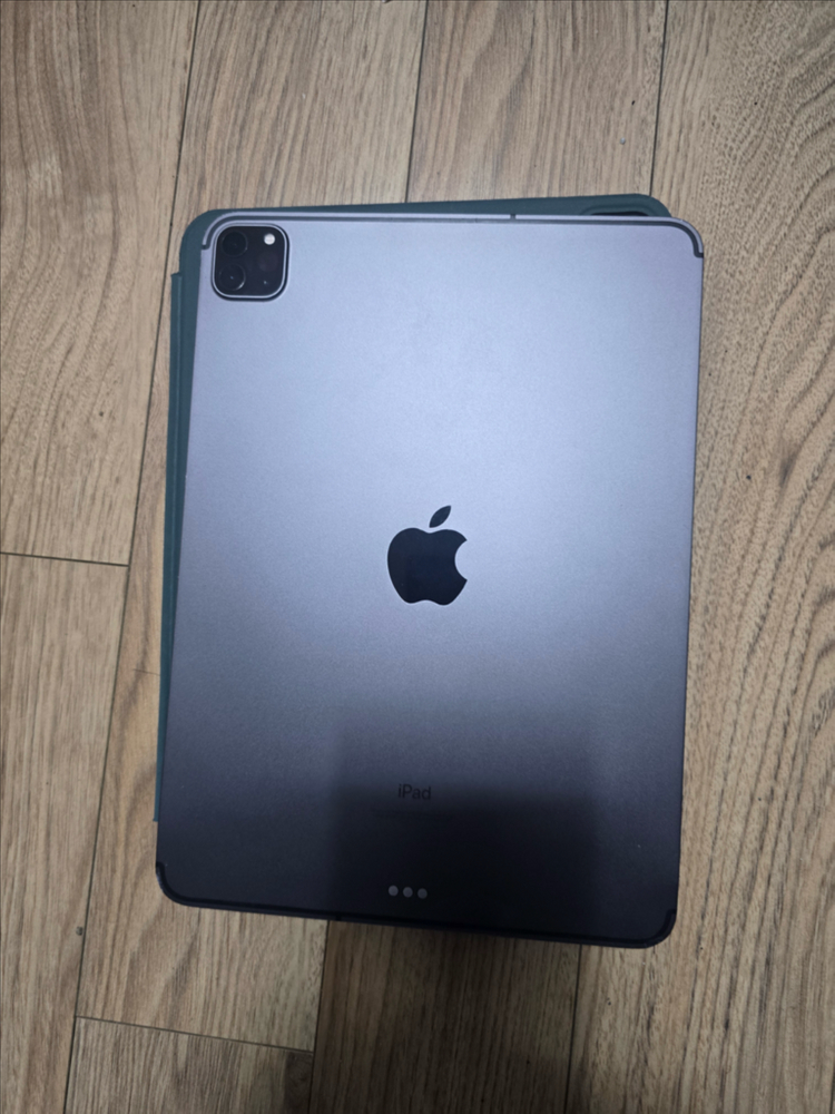 아이패드 프로 11인치 2세대 셀룰러 5g 256 이미지