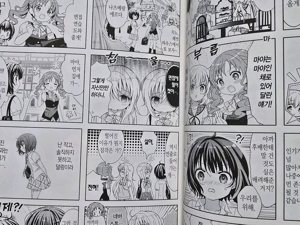 대원 주문은 토끼입니까? 11 이미지