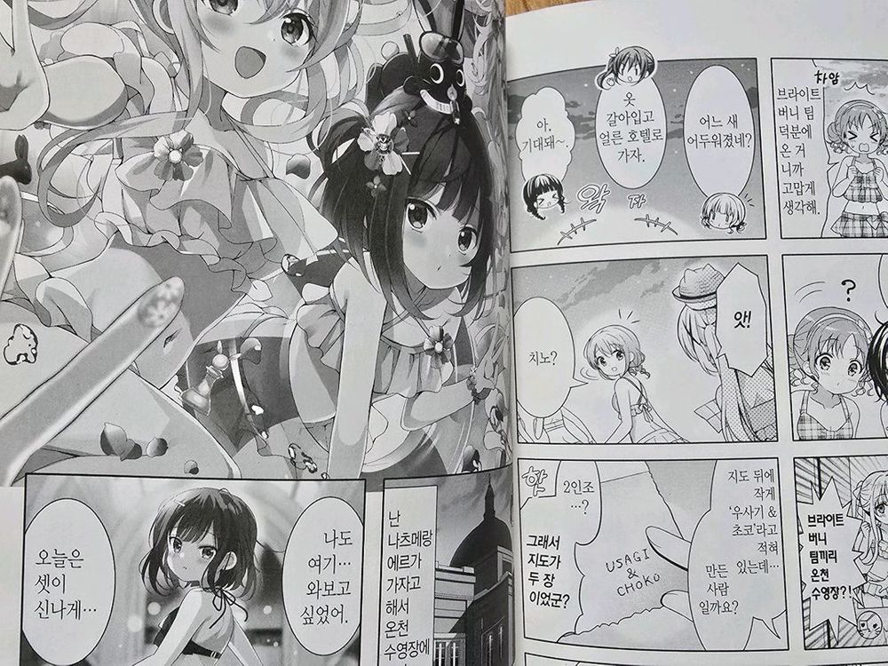 대원 주문은 토끼입니까? 11 이미지