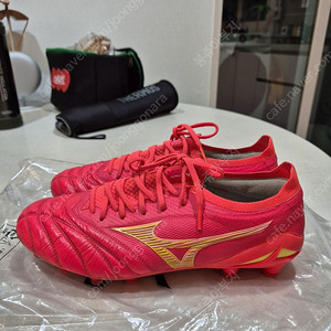 모렐리아 네오4 베타 재팬 이미지