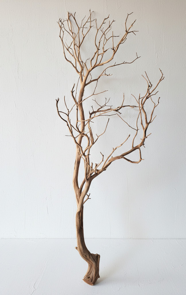 대형 만자니타 유목 판매, 우드 오브제, 행잉 장식 이미지