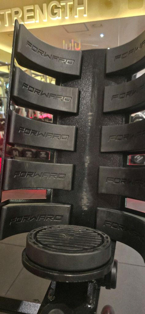 포워드코리아 FORWARD 고중량 어시스트 덤벨랙 헬스기구 디알피트니스 이미지