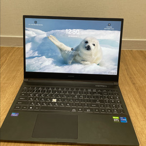 한성컴퓨터 고사양 게이밍노트북(3050/16gb/i7 11세대/500gb) 이미지