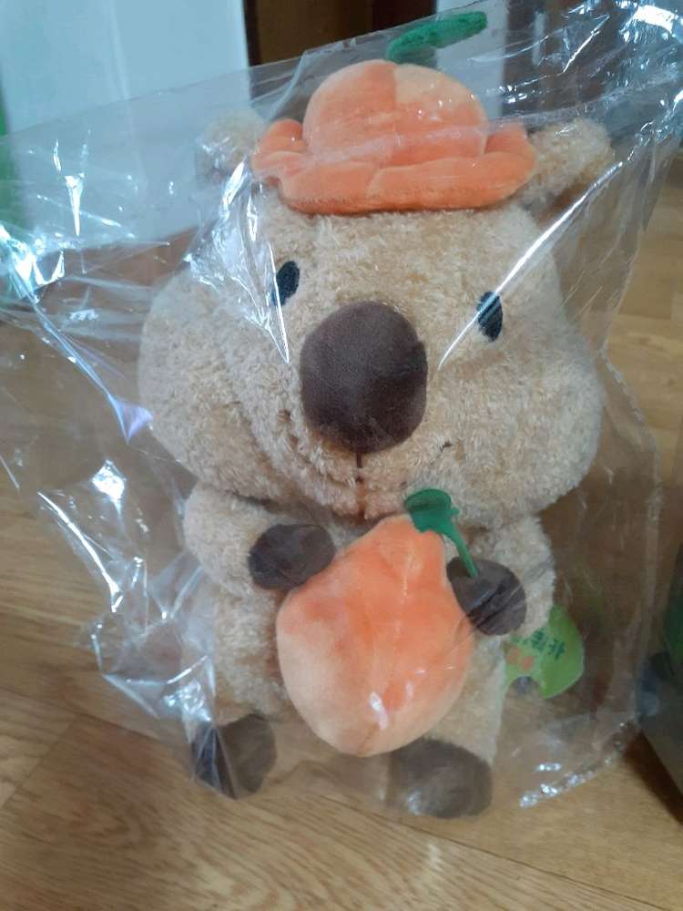 캐릭터 인형 새거입니다 귀여워요 편하게 보세요 전체세트 10000원 이미지