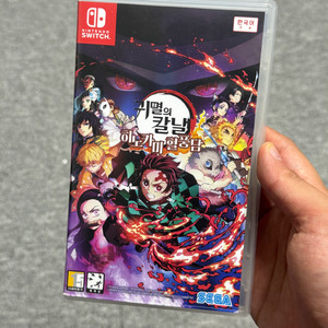 닌텐도 스위치 귀멸의 칼날 히노카미 혈풍담 이미지