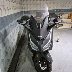 포르자350 25년식 이미지