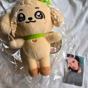 미개봉)유진7만원특전포카&강안지오리지날플러시인형 미니브팝업 아이브 ive 이미지