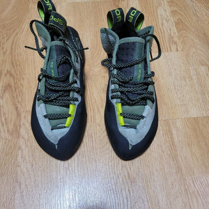 라스포티바티씨프로 이미지